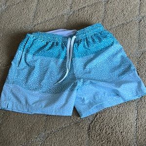 Chubbies swim trunks 5.5 inseam